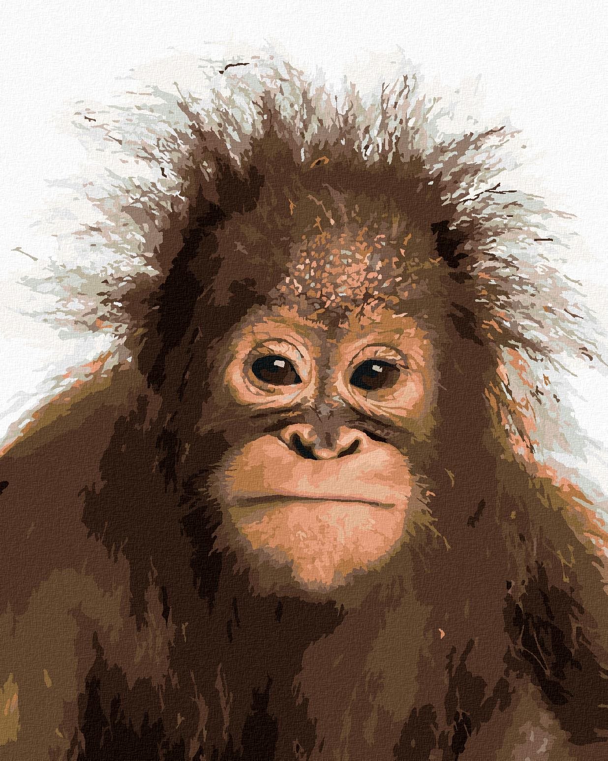 Mladý orangutan, 80 × 100 cm, bez rámu a bez napnutia plátna