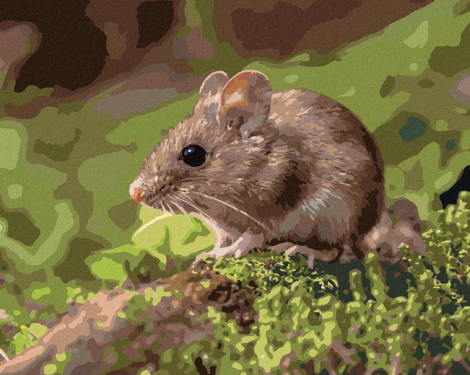 Myška spočívajúca v lese, 40×50 cm, bez rámu a bez vypnutia plátna