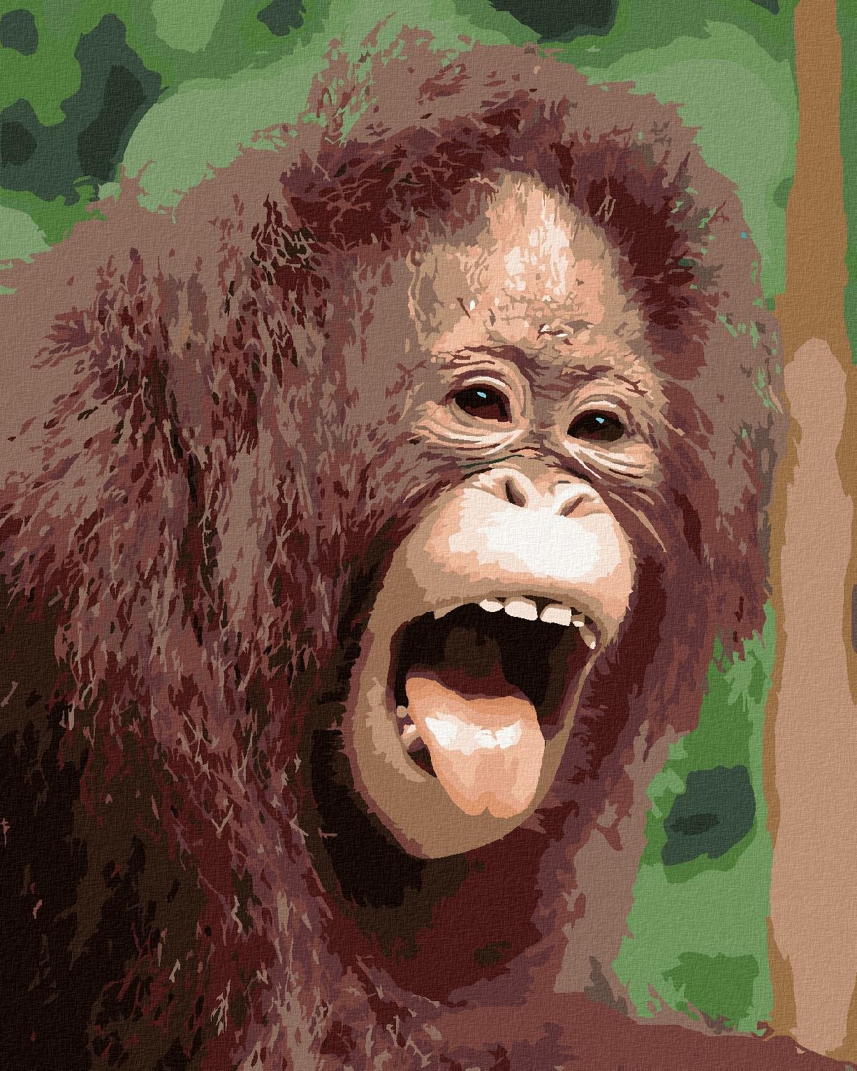 Orangutan s otvorenou tlamou, 80×100 cm, bez rámu a bez vypnutia plátna
