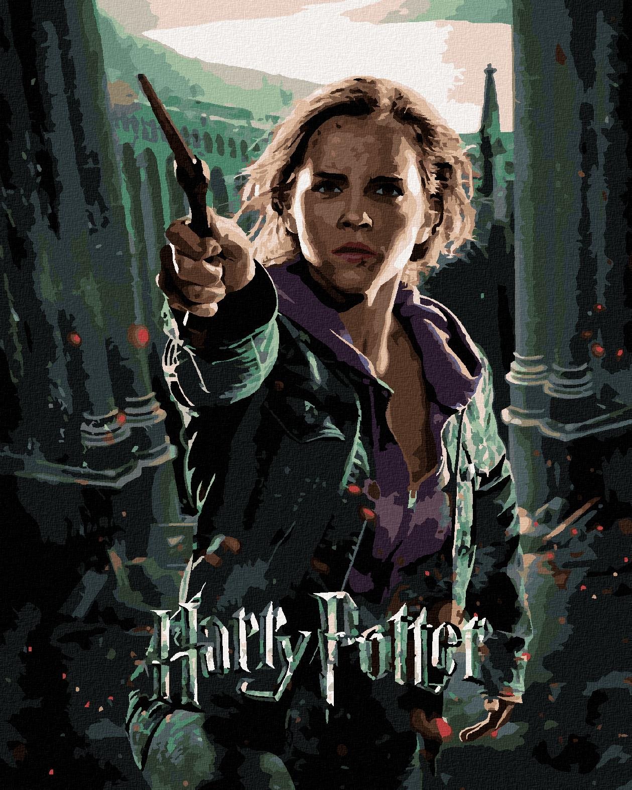 Plagát Harry Potter a relikvie smrti Hermiona, 40×50 cm, vypnuté plátno na rám