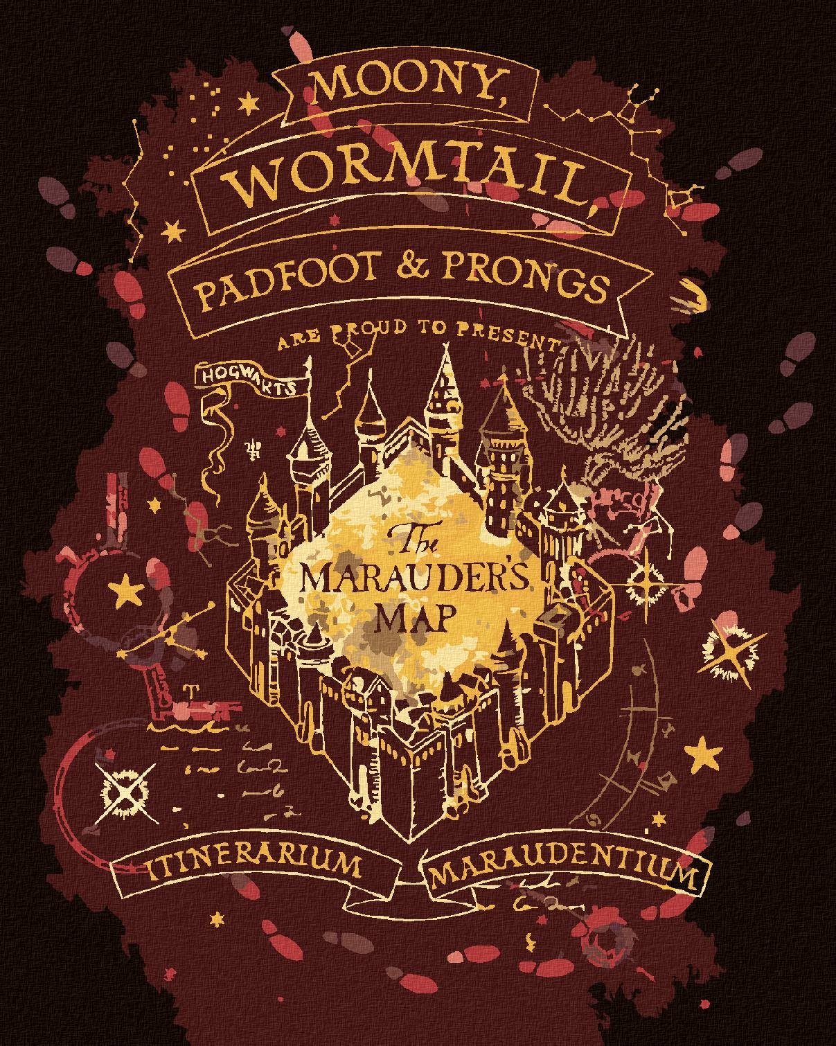 Záškodnícky plánik (Harry Potter), 40×50 cm, vypnuté plátno na rám