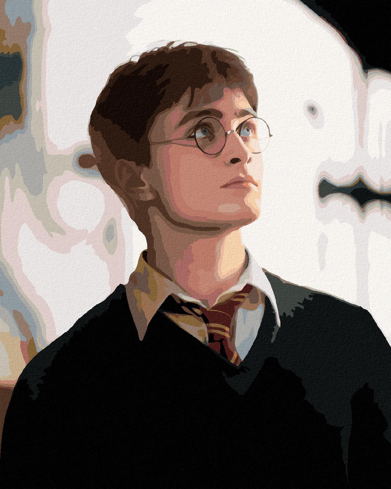 Portrét Harry Potter, 40×50 cm, vypnuté plátno na rám