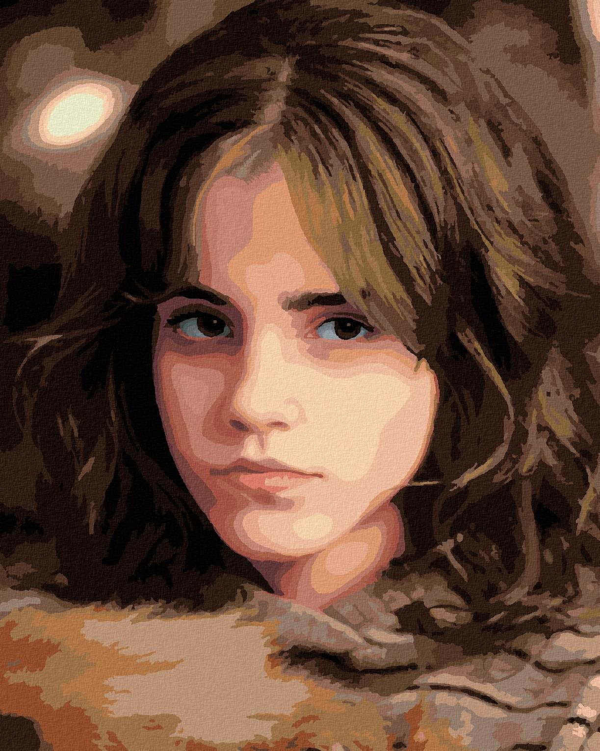 Portrét Hermiona s prísnym pohľadom (Harry Potter), 40×50 cm, vypnuté plátno na rám