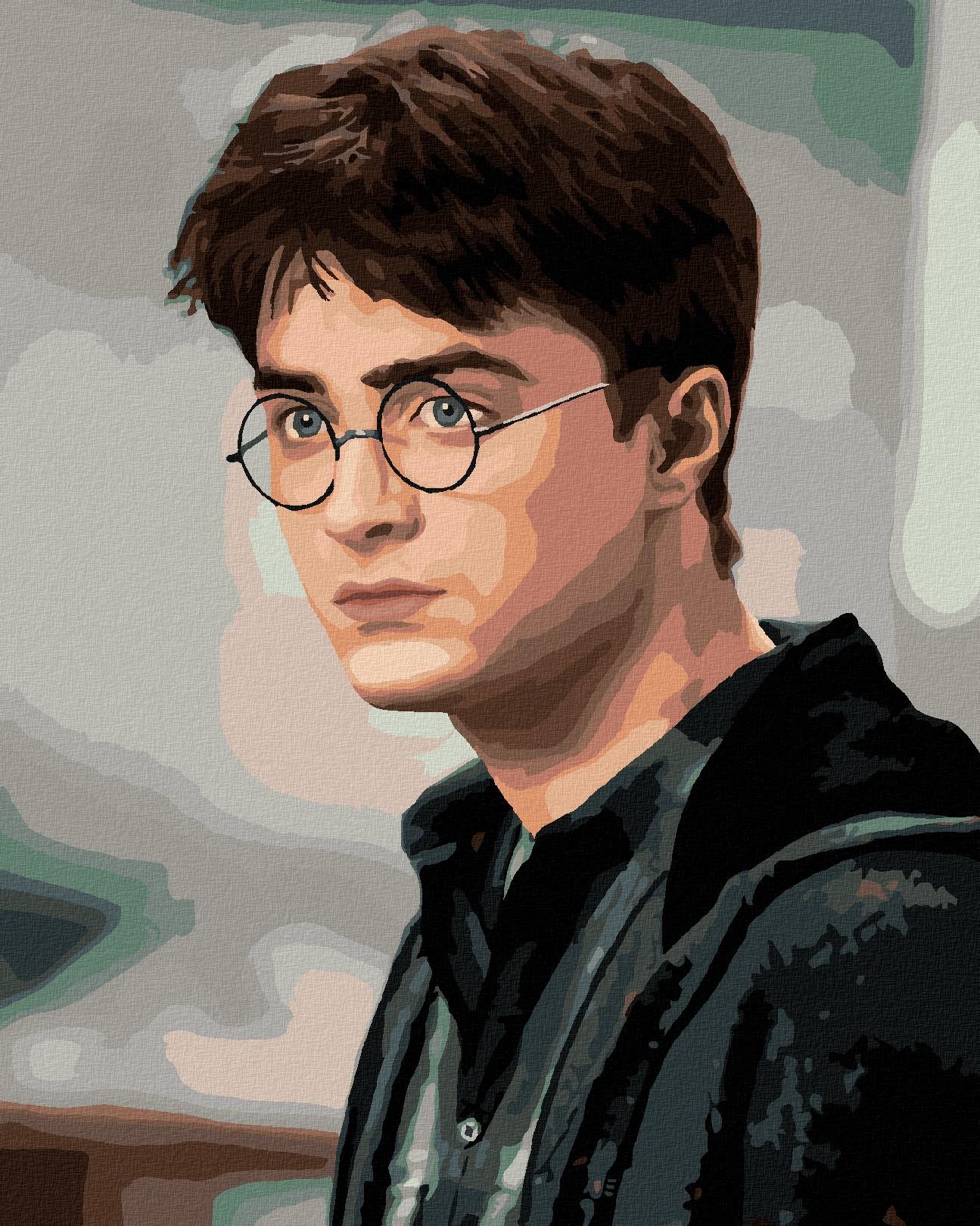Portrét zahľadený Harry Potter, 40×50 cm, vypnuté plátno na rám