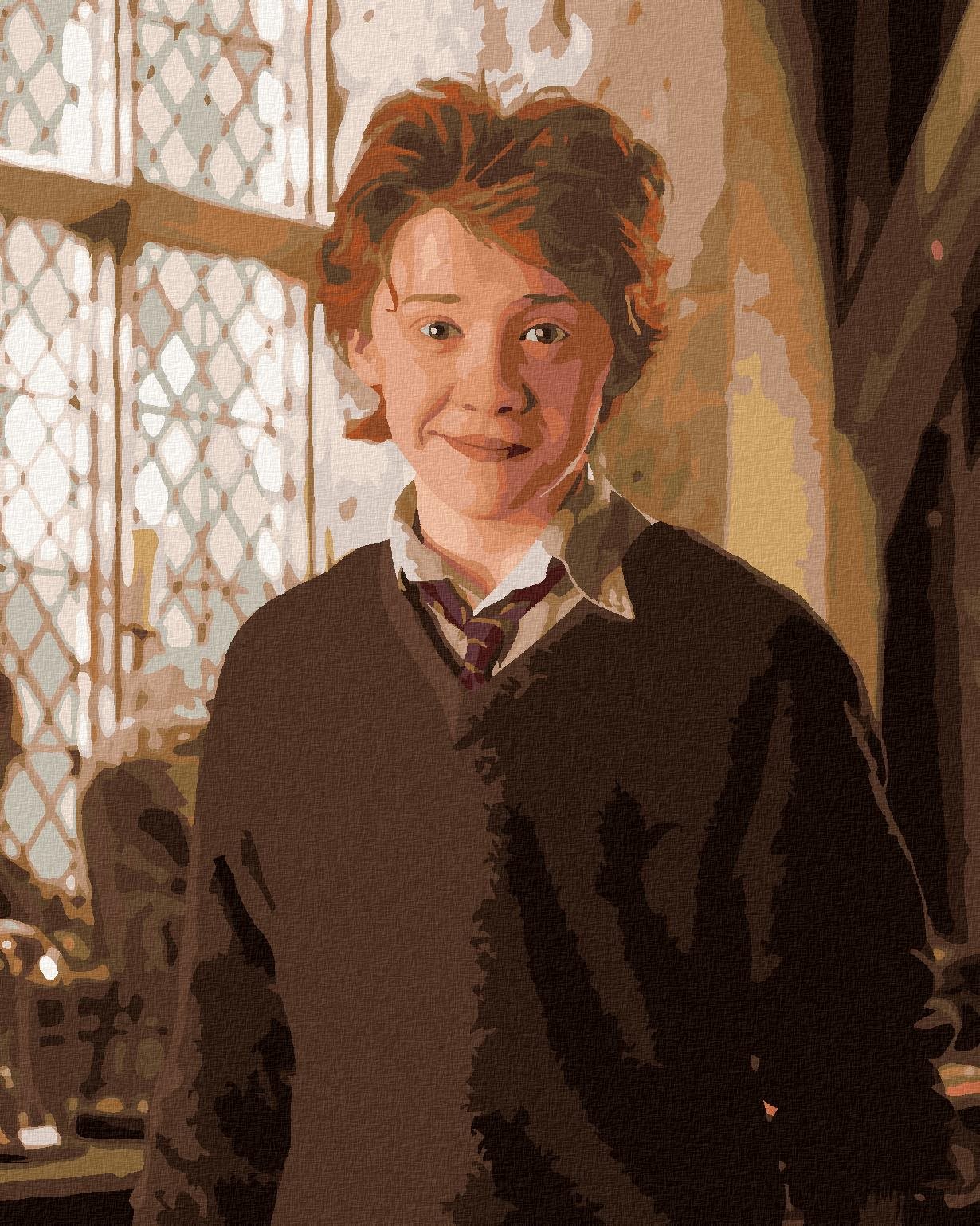 Ron v učebni (Harry Potter), 40×50 cm, vypnuté plátno na rám