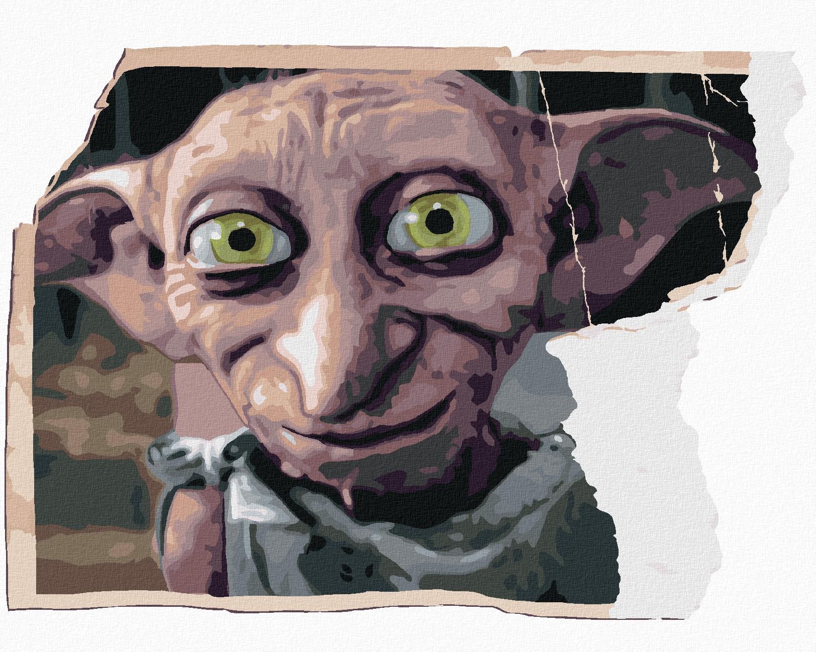 Roztrhnutá fotografia Dobbyho (Harry Potter), 40 × 50 cm, plátno napnuté na rám