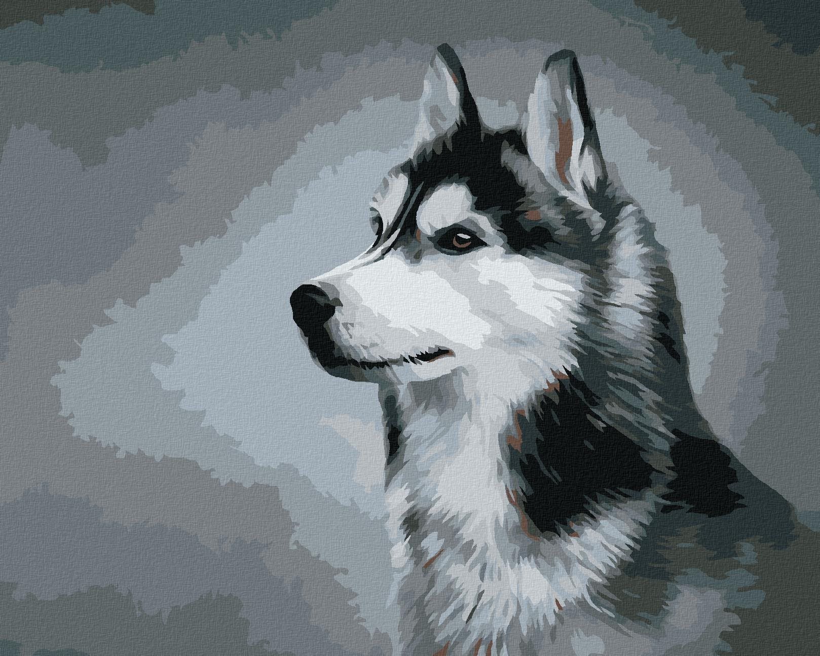 Sibírsky husky, 80 × 100 cm, plátno napnuté na rám