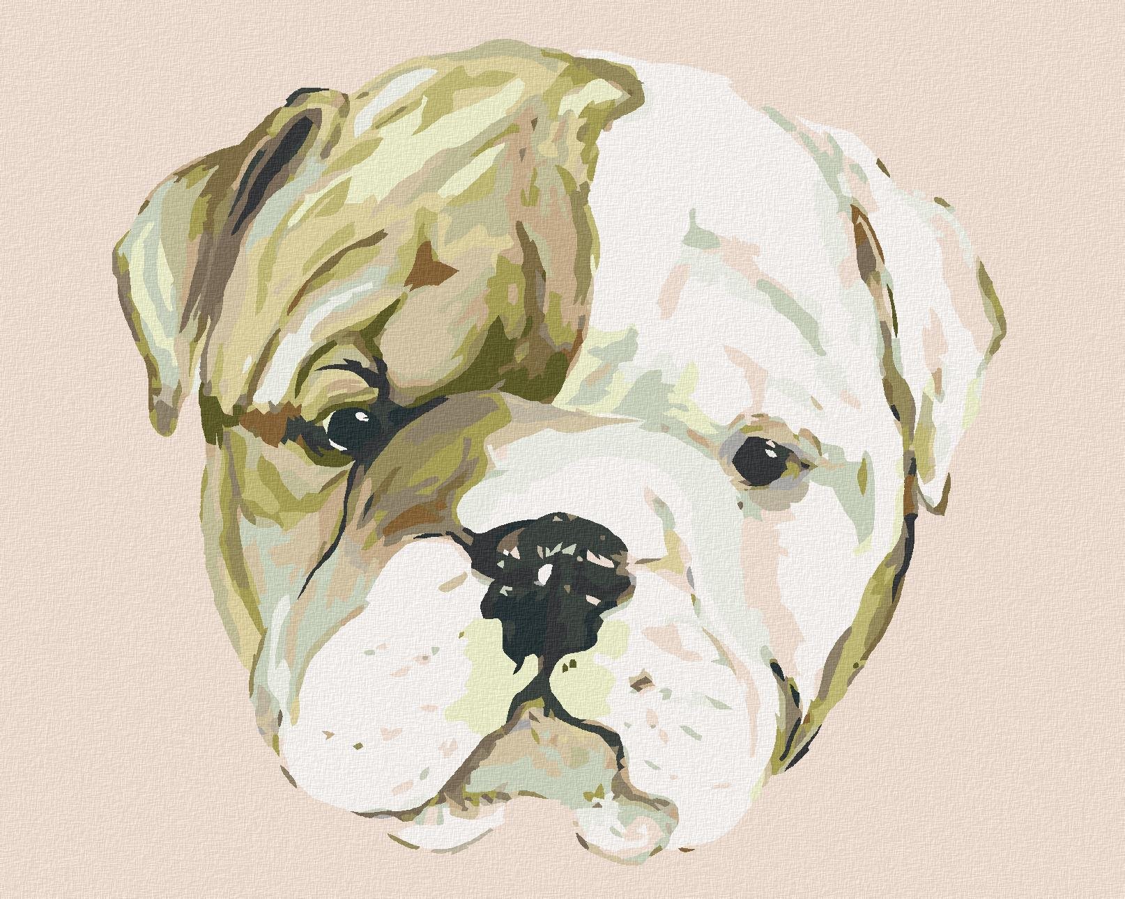Šteniatko bulldoga (Haley Bush), 40 × 50 cm, bez rámu a bez napnutia plátna