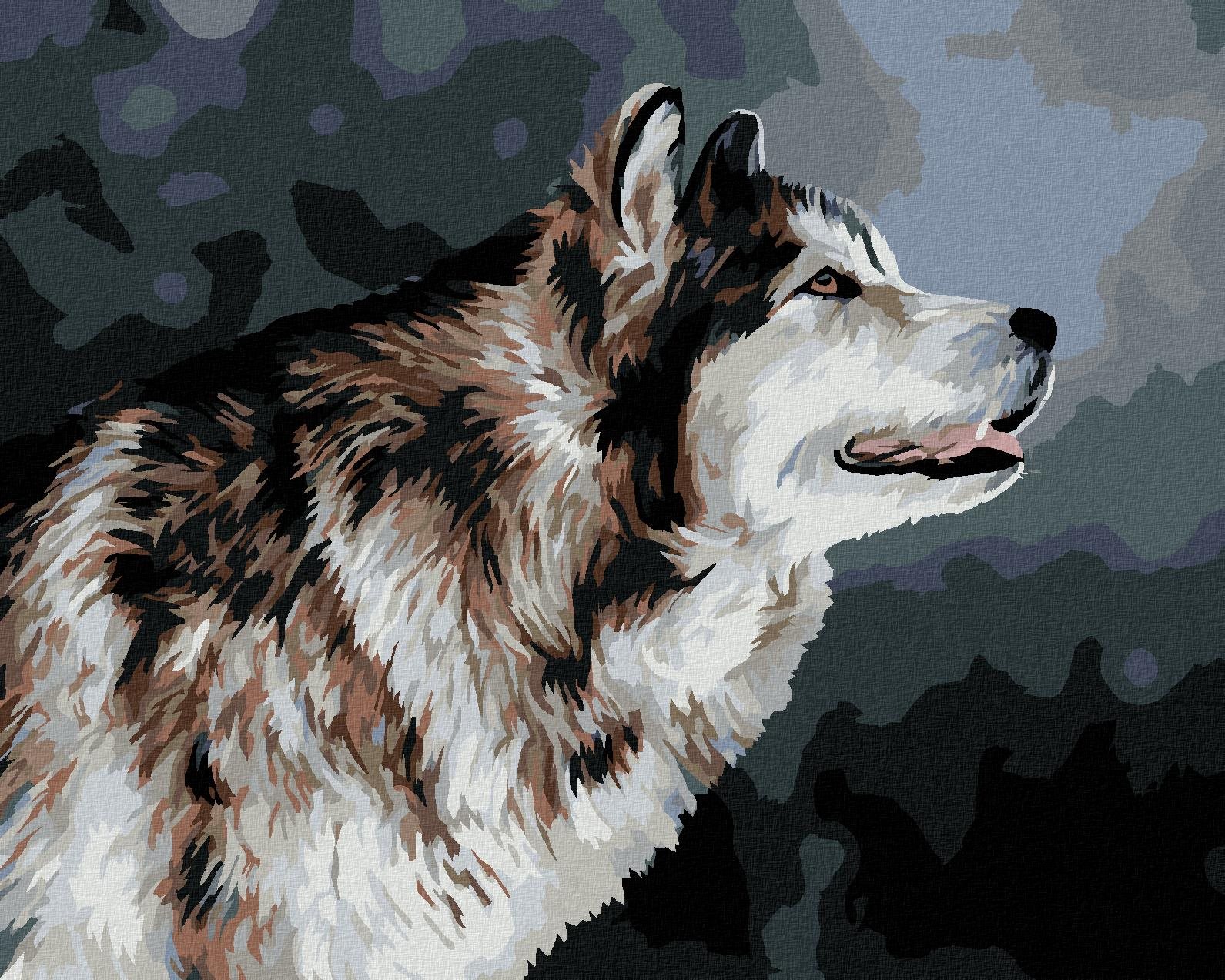Vyzerajúci husky, 80 × 100 cm, bez rámu a bez napnutia plátna