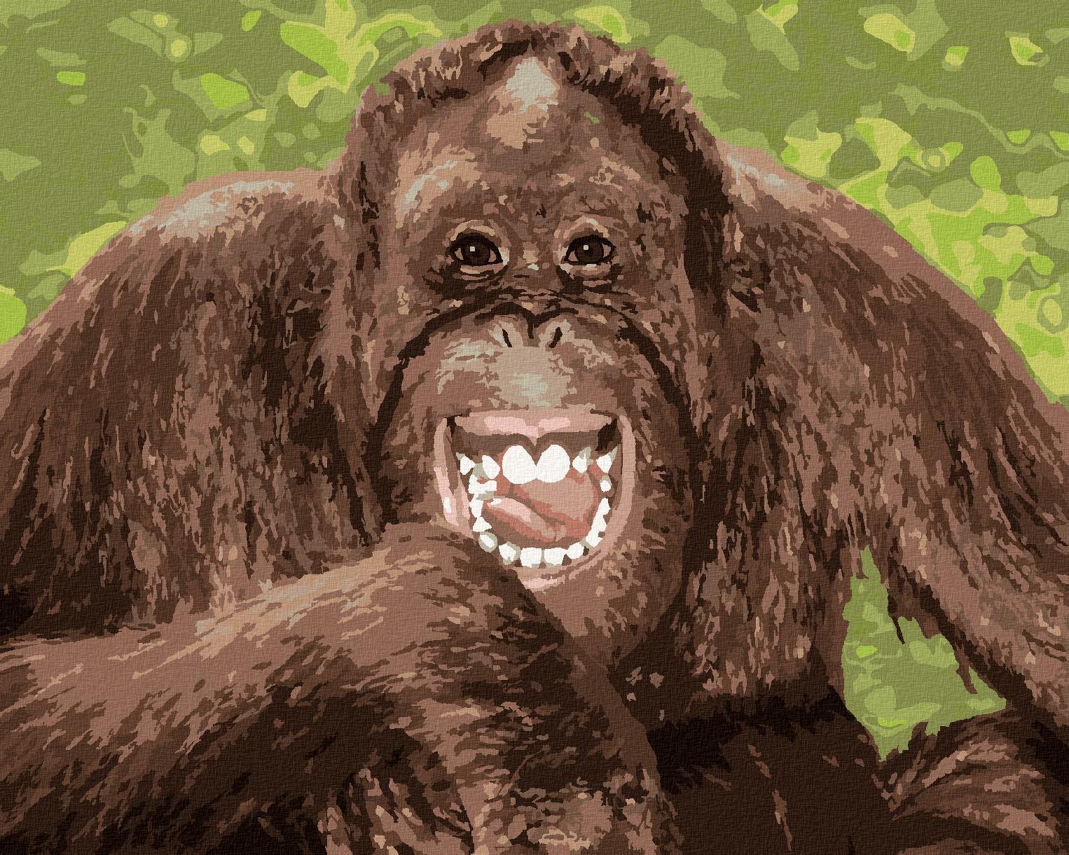 Vysmiaty orangutan, 40×50 cm, vypnuté plátno na rám
