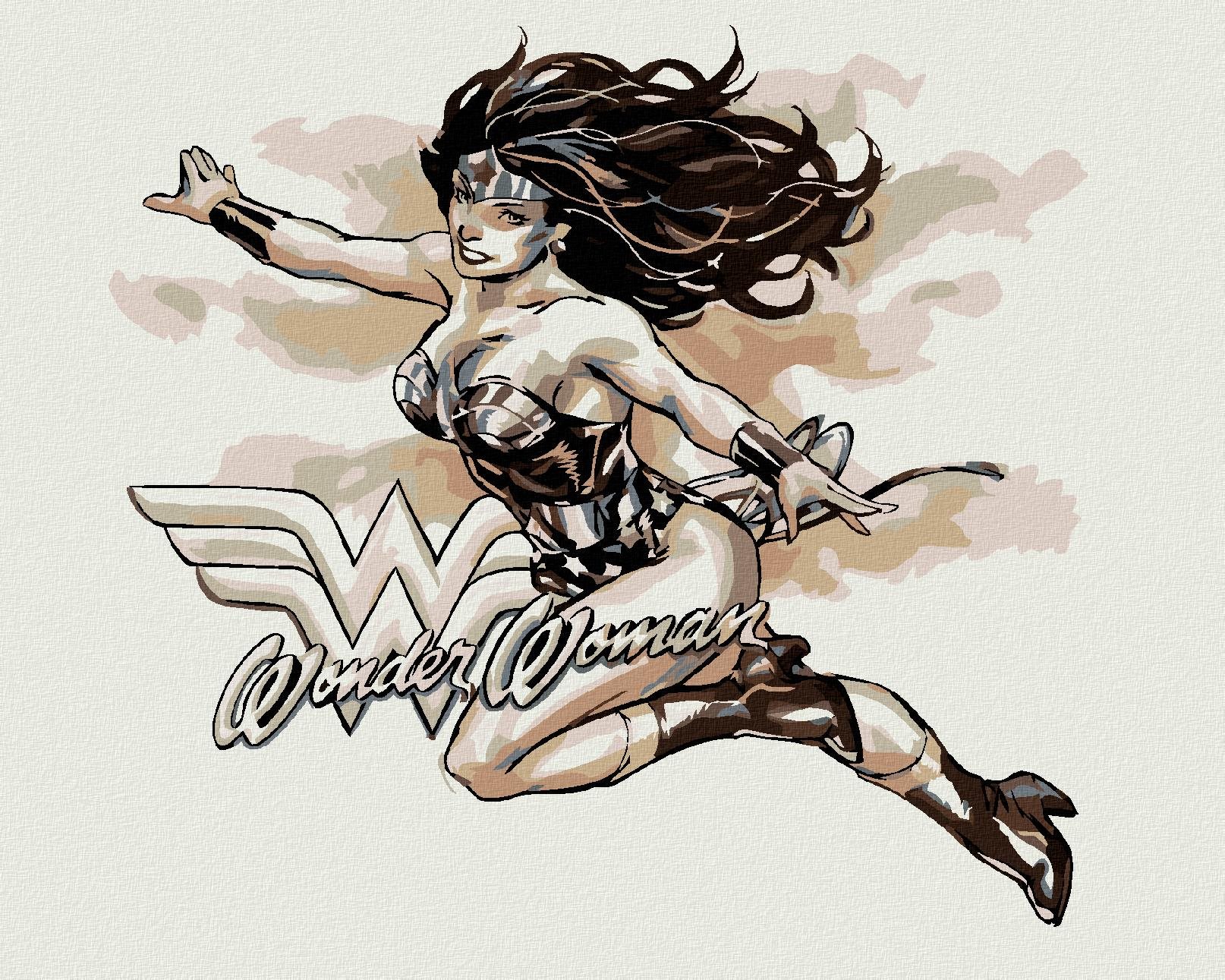 Wonder Woman čierno-biely plagát iv, 40 × 50 cm, plátno napnuté na rám
