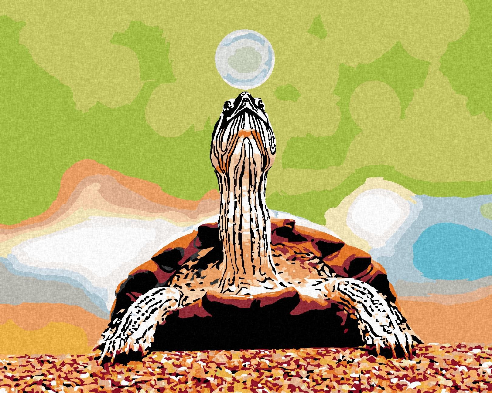 Korytnačka s bublinou, 80 × 100 cm, plátno napnuté na rám
