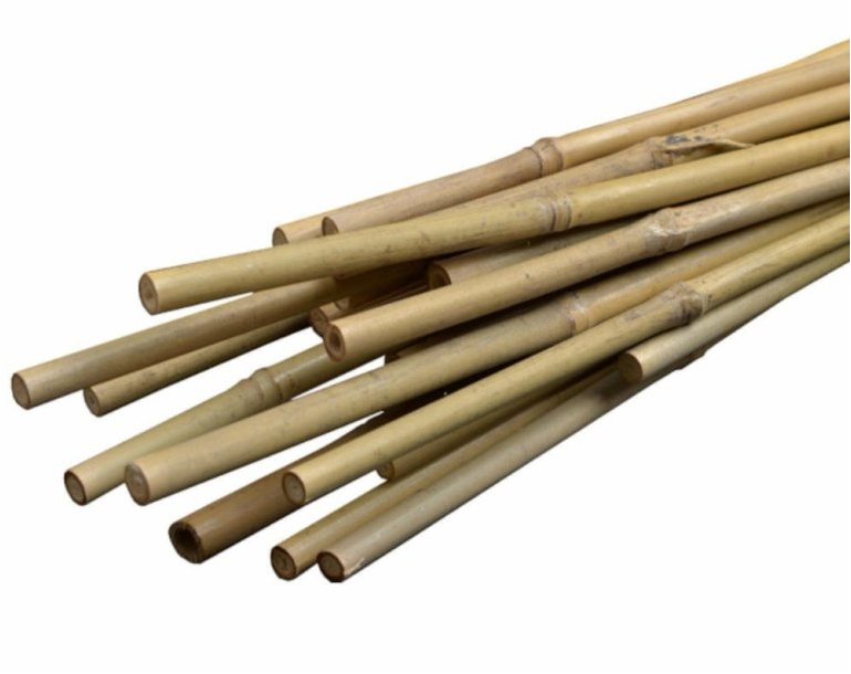 Igotrend Tyč k rostlinám BAMBUS 150 cm, set 10 ks