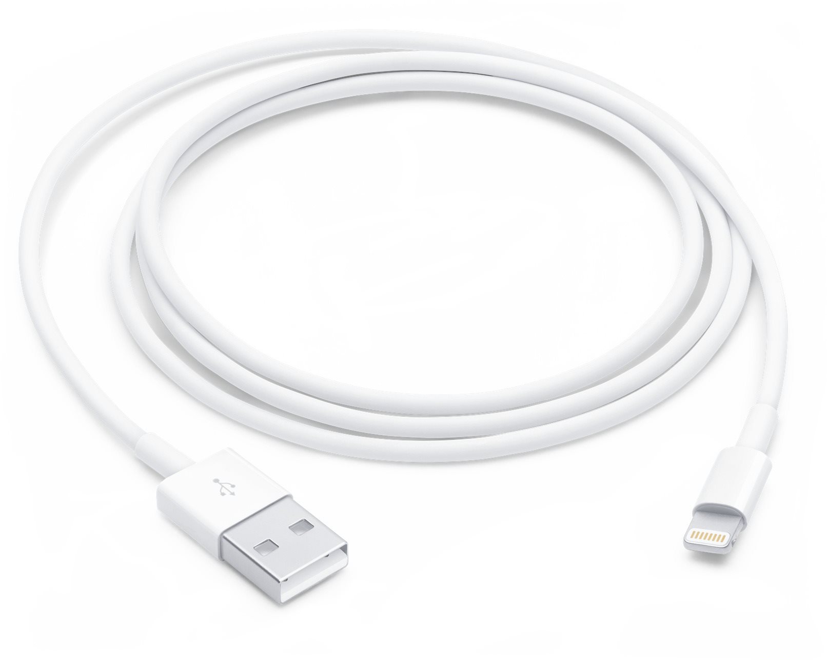 Apple Lightning to USB Cable (1 m)
