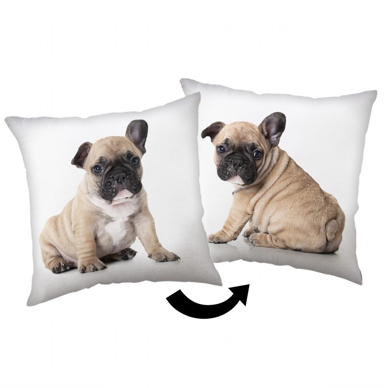Jerry Fabrics Vankúšik Bulldog 40 × 40 cm