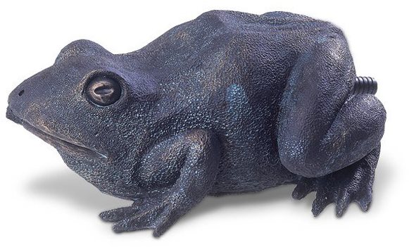 Pontec Water Spout Frog