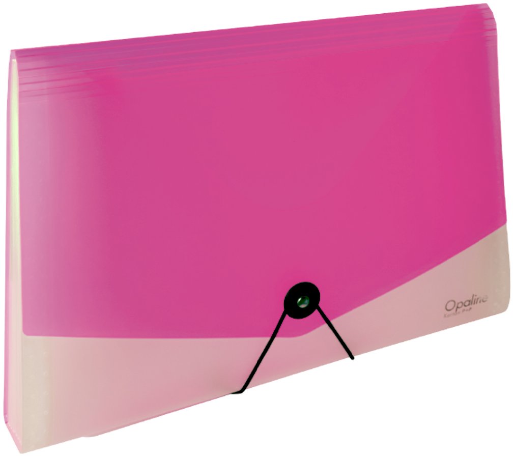 KARTON P+P Opaline organizér na dokumenty s gumou (13 vreciek) A4, ružový