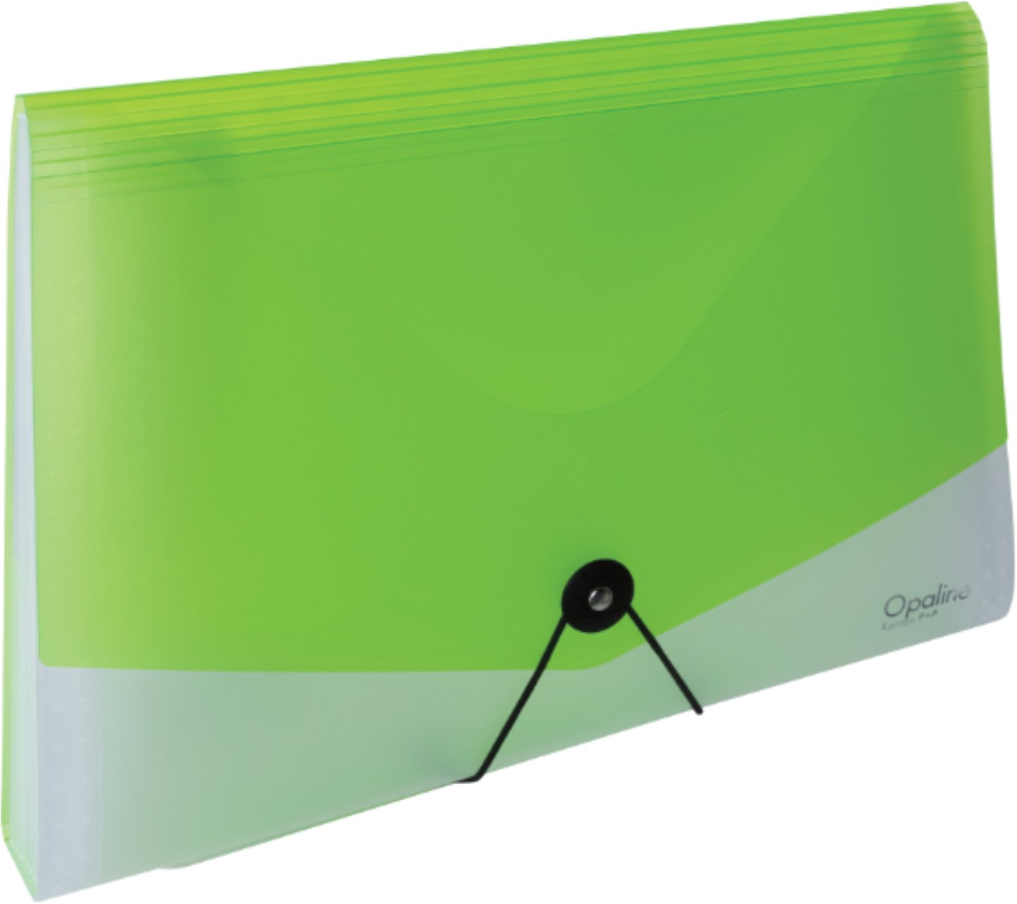KARTON P+P Opaline organizér na dokumenty s gumou (13 vreciek) A4, zelený