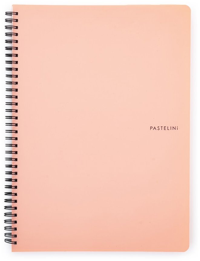 KARTON P+P Pastelini Twin wire A4 PP marhuľový