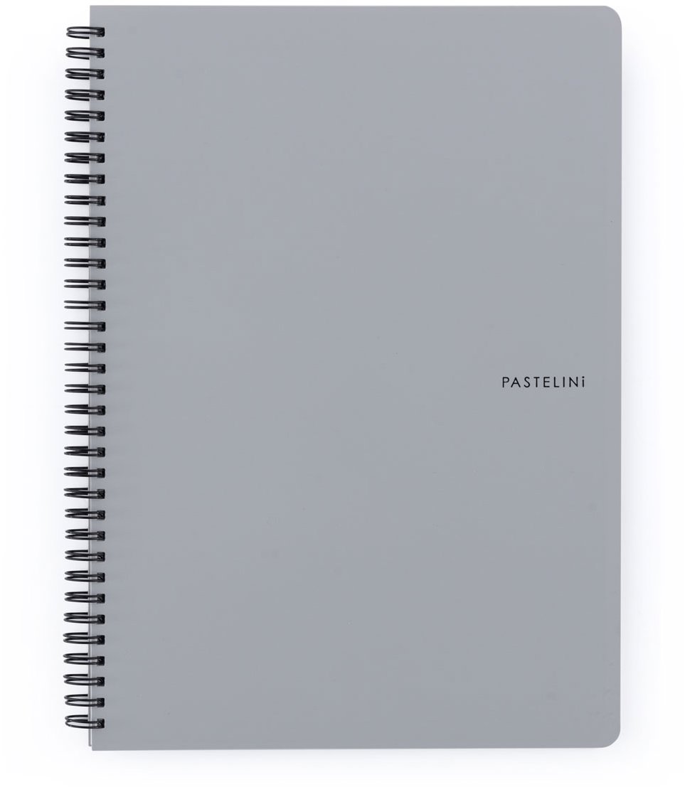 KARTON P+P Pastelini Twin wire A4 PP sivý