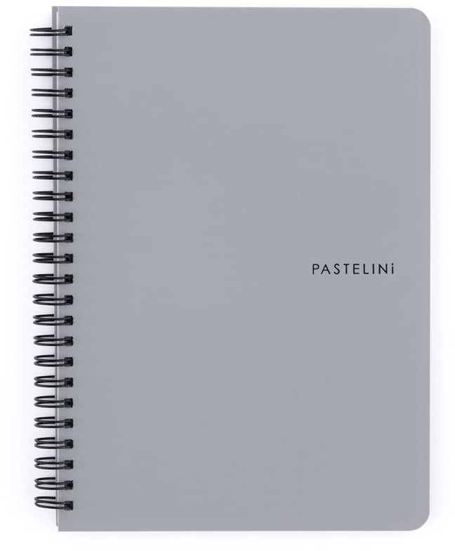 KARTON P+P Pastelini Twin wire A5 PP sivý
