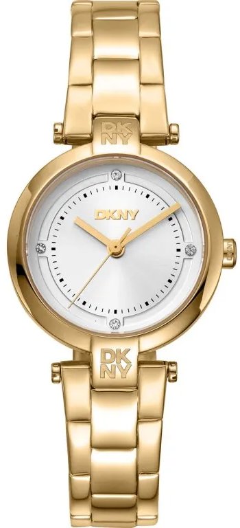 DKNY Essential Mini DK1L043M0055
