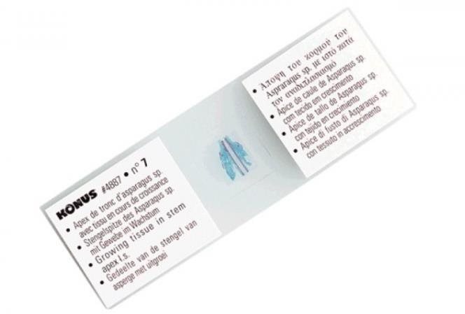 Konus sada vzoriek pre mikroskopy – Ľudské tkanivo