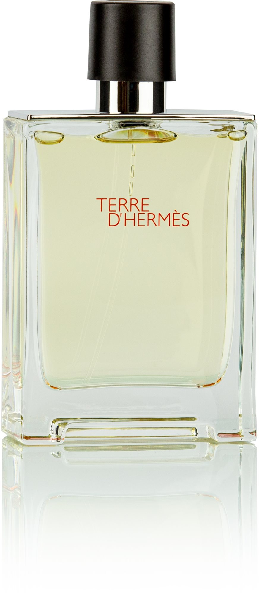 HERMES Terre d' Hermés EdT 100 ml
