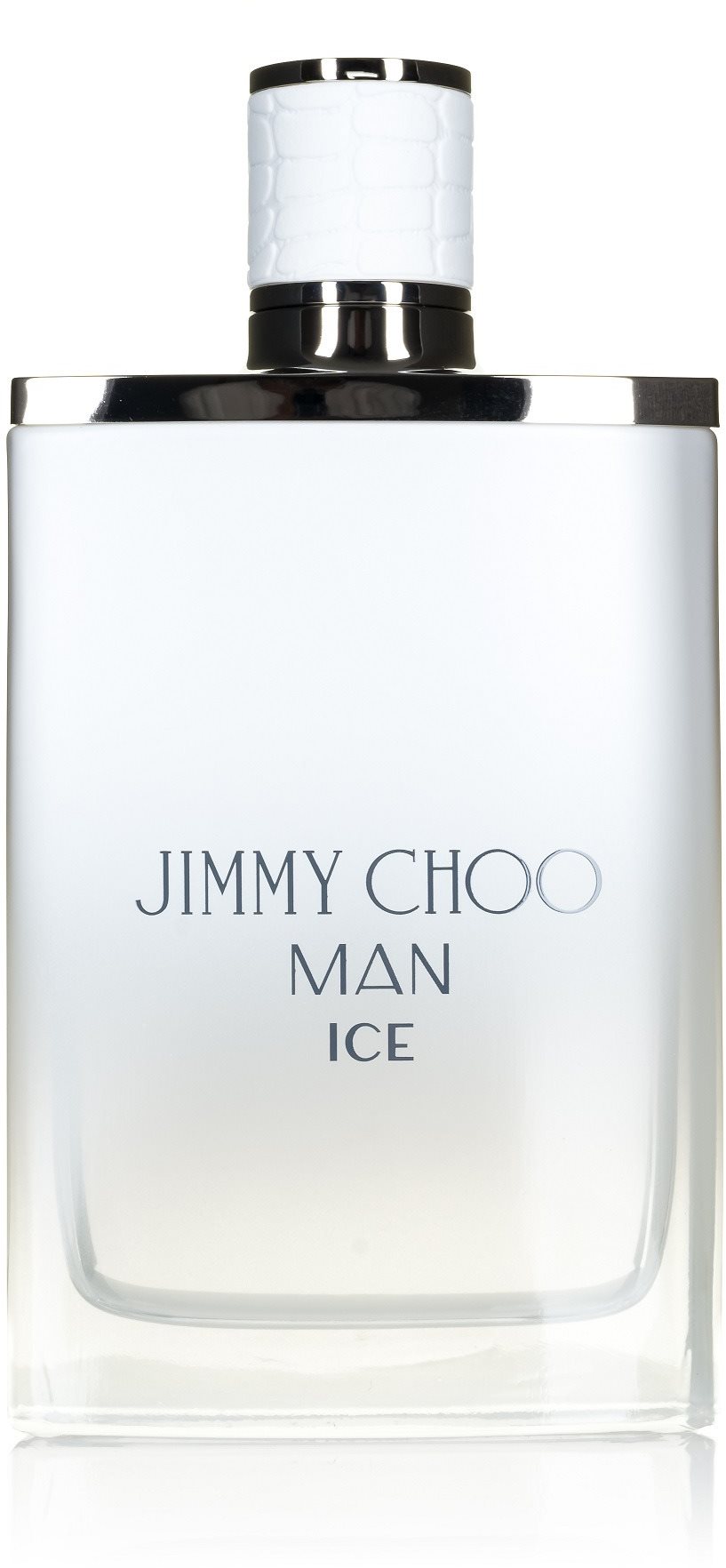 JIMMY CHOO Man Ice EdT 100 ml
