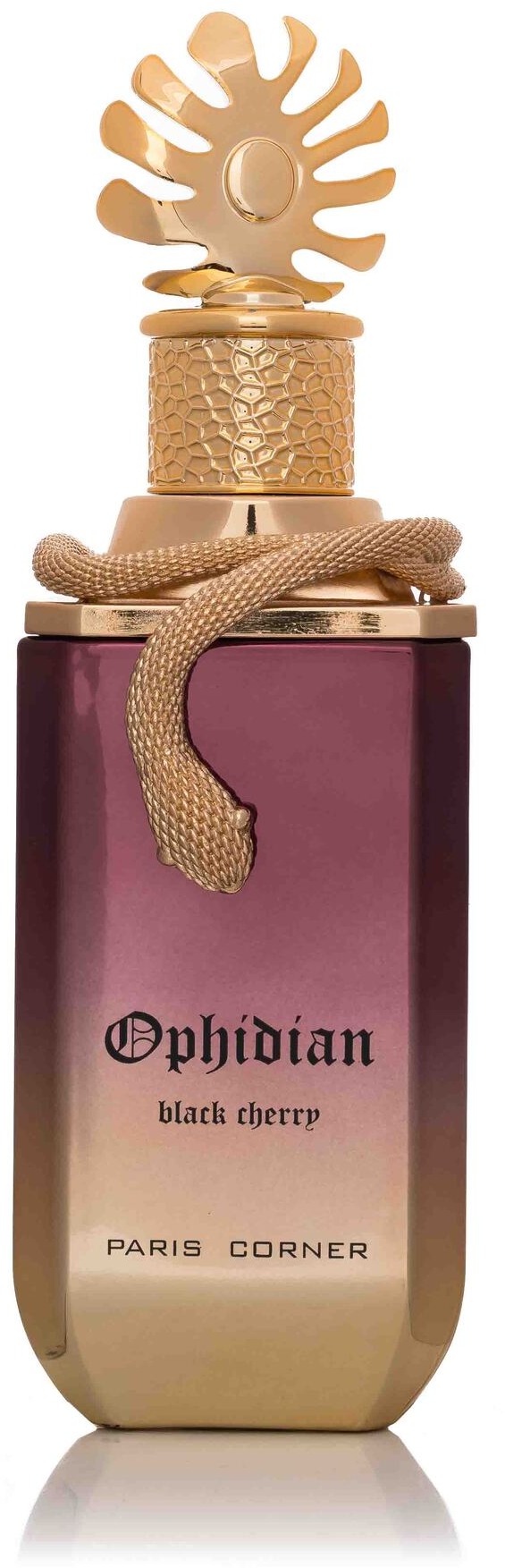 PARIS CORNER Ophidian Black Cherry EdP 100 ml