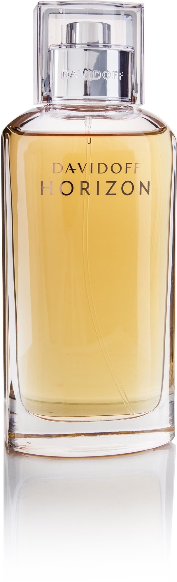 DAVIDOFF Horizon EdT 125 ml
