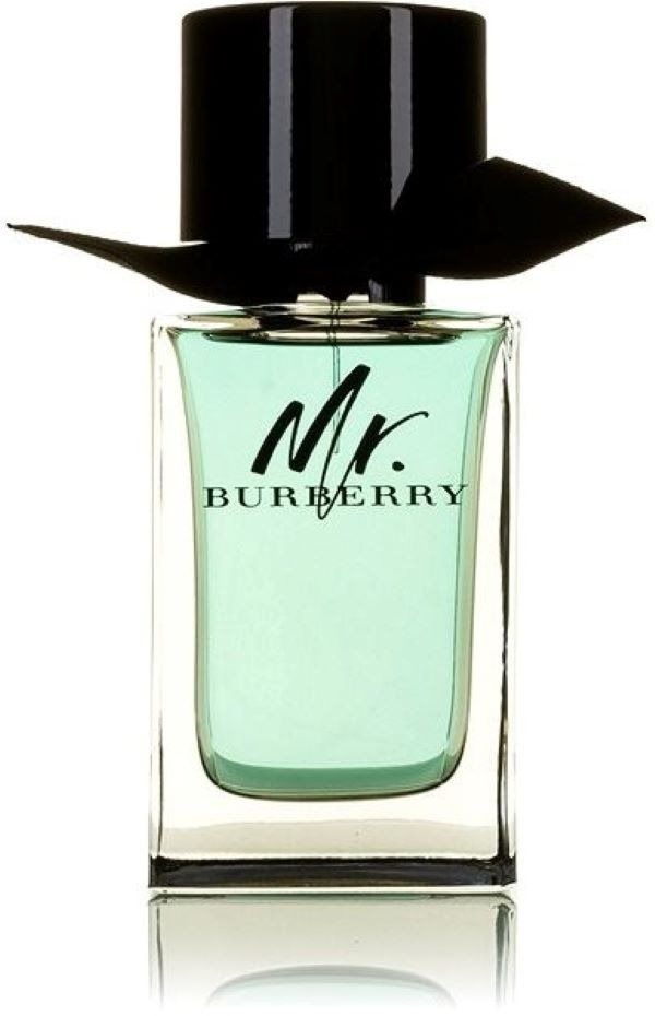 BURBERRY Mr. Burberry EdT 100 ml