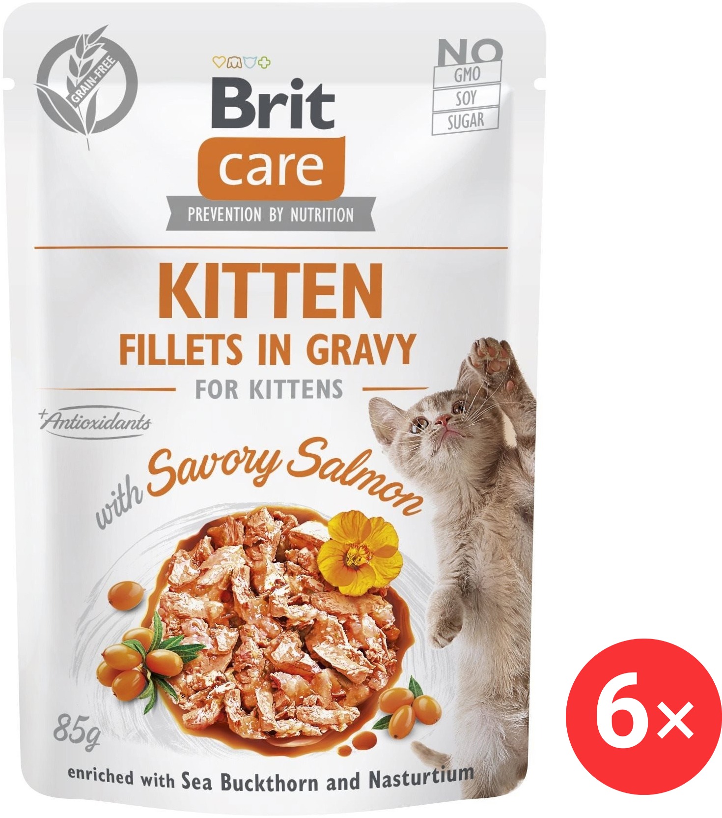 Brit Care Cat Kitten Fillets in Gravy with Savory Salmon 6× 85 g