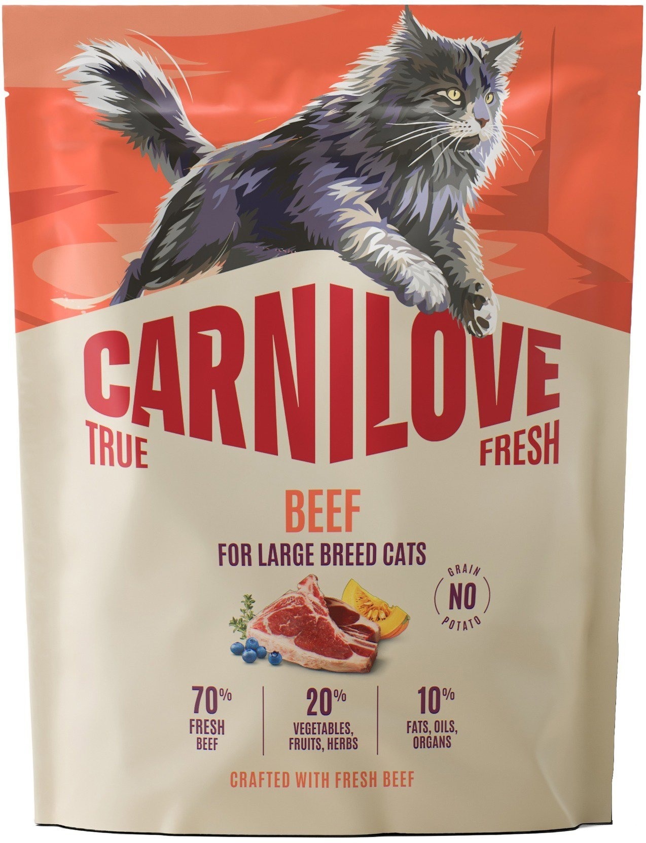 Carnilove True Fresh Cat Dry Beef pre Adult Large Breeds 400 g