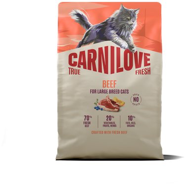 Carnilove True Fresh Cat Dry Beef pre Adult Large Breeds 2 kg