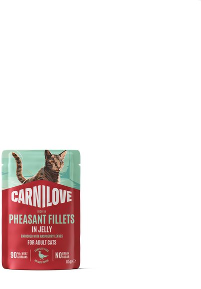 Carnilove Cat Pouch Jelly rich in Pheasant enriched with Raspberry Leaves 85 g