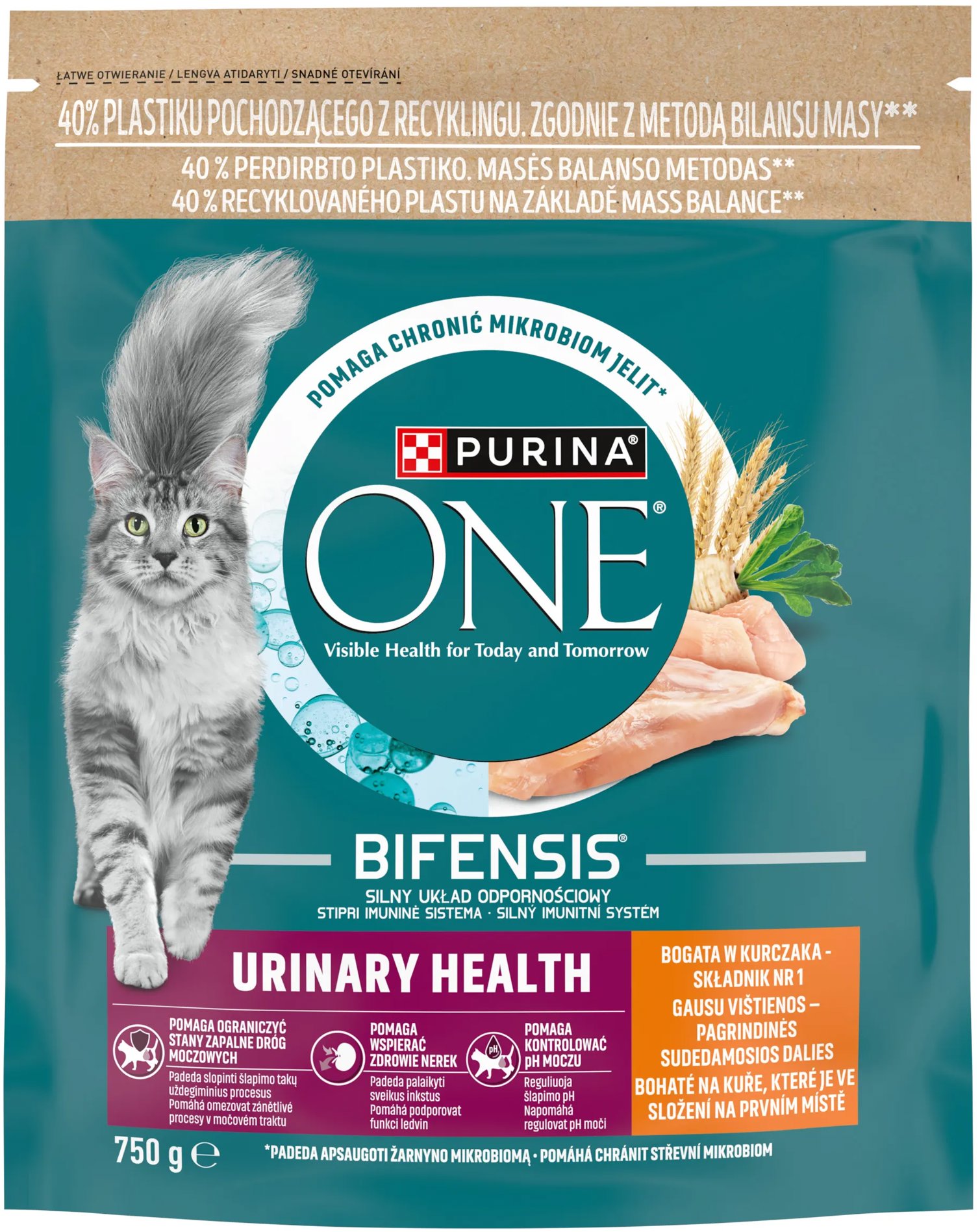 Purina ONE Bifensis Urinary Care granuly pre mačky kura 750 g