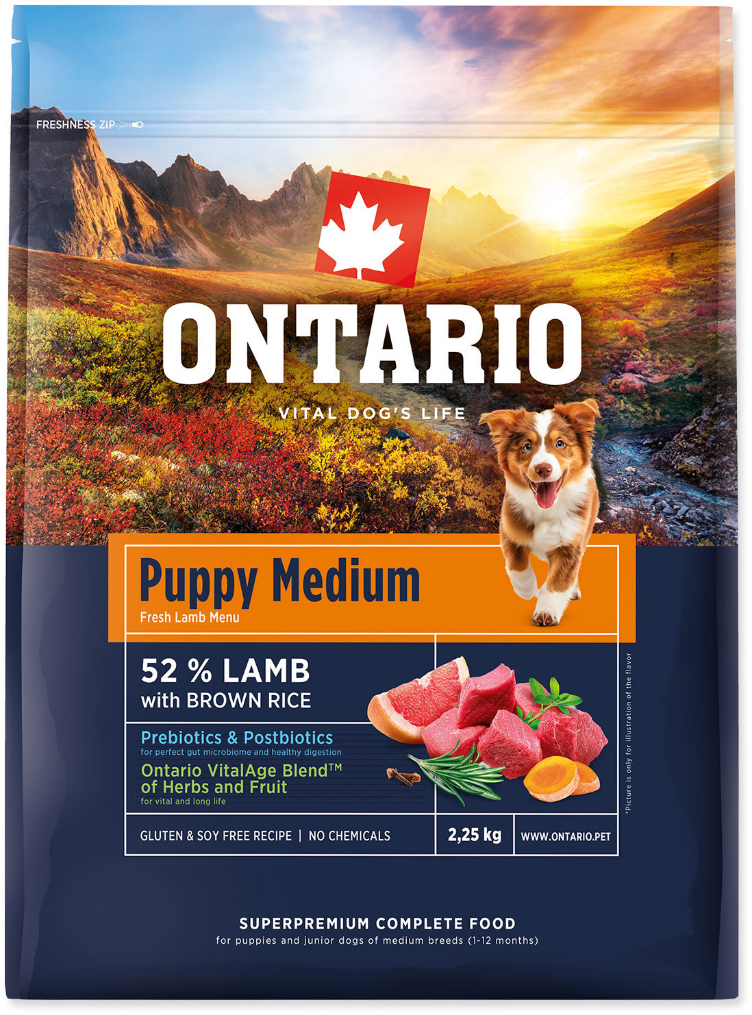 Ontario Puppy Medium Lamb & Brown Rice 2,25 kg