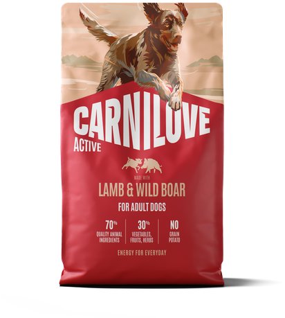 Carnilove Active Dog Dry Made with Lamb & Wild Boar pre Adult All Breeds 4 kg