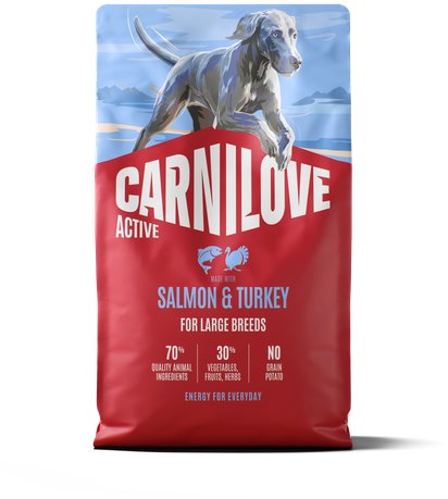 Carnilove Active Dog Dry Made with Salmon & Turkey pre Adult Large Breeds 4 kg
