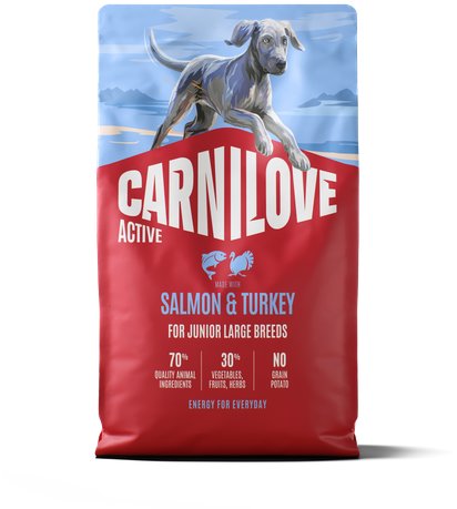 Carnilove Active Dog Dry Made with Salmon & Turkey pre Junior Large Breeds 4 kg