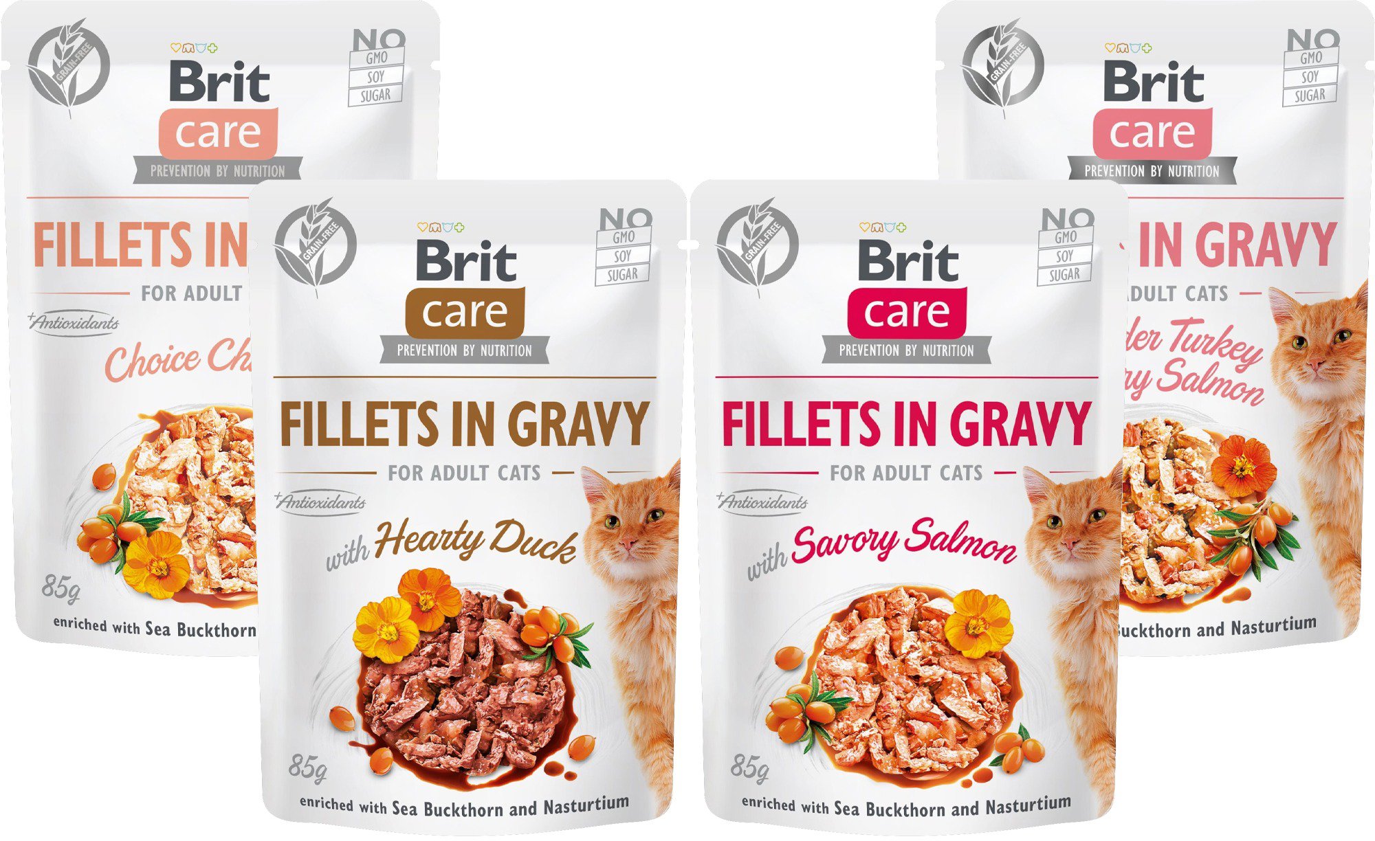 Brit Care Cat Fillets in Gravy Ochutnávkovy mix 4× 85 g