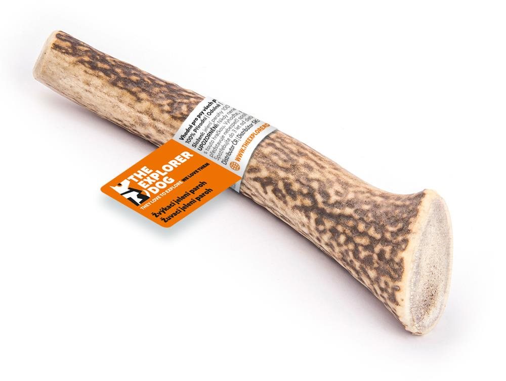 Explorer dog Žuvací jelení paroh L tvrdý