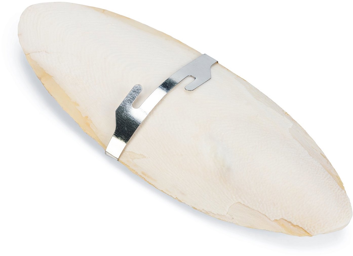 Karlie Sépiová kosť M