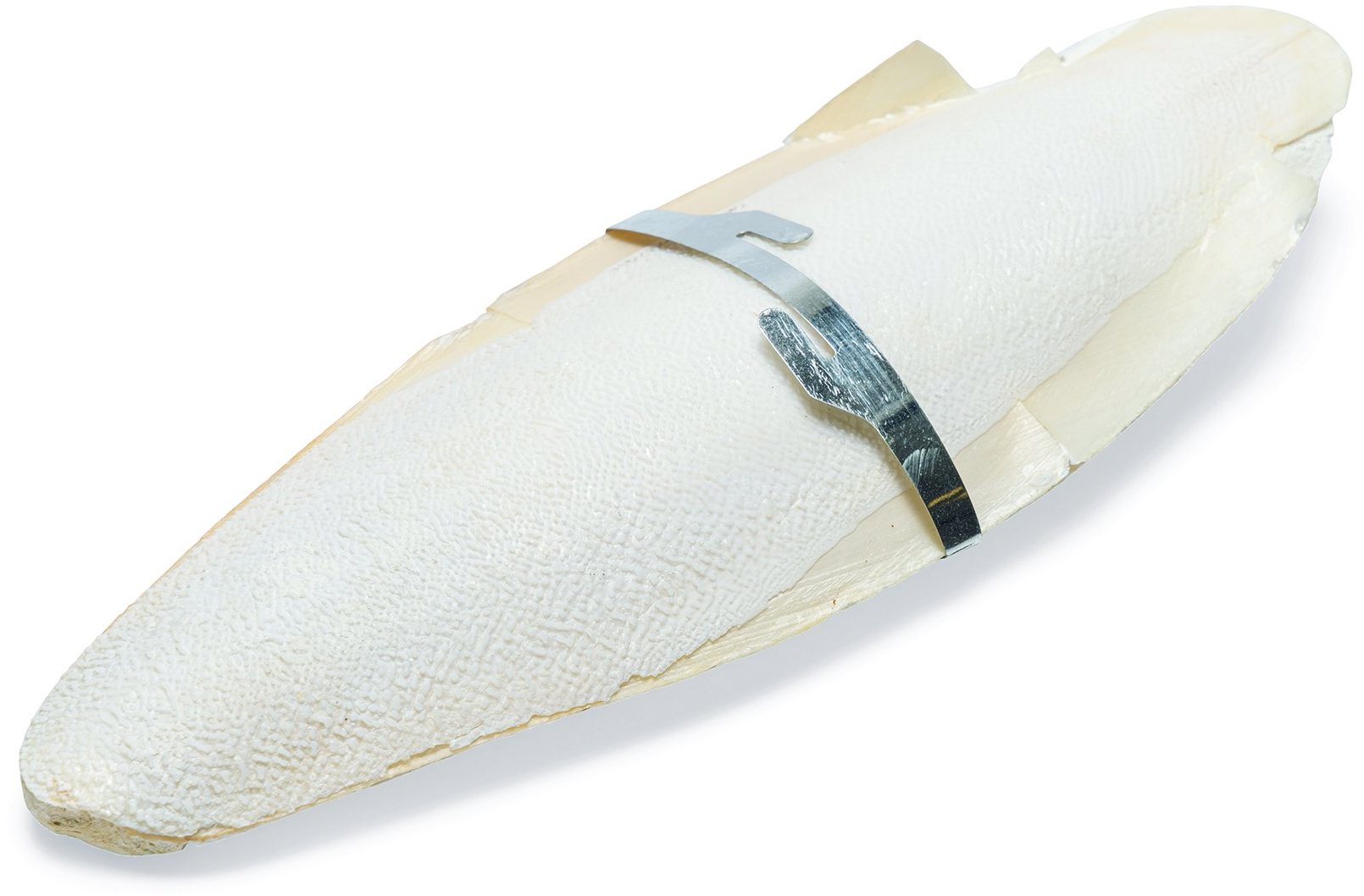 Karlie Sépiová kosť L