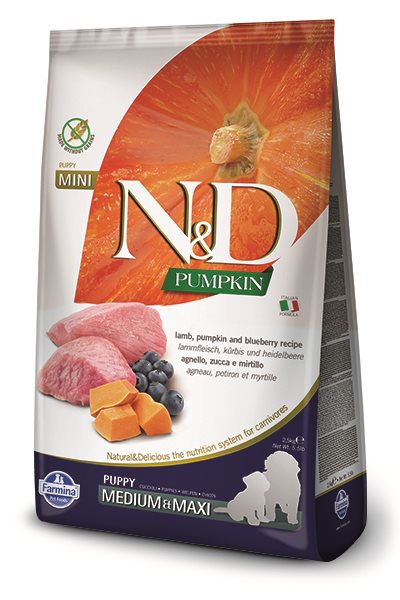 N&D Pumpkin Dog Puppy Medium & Maxi Lamb & Blueberry 2,5 kg