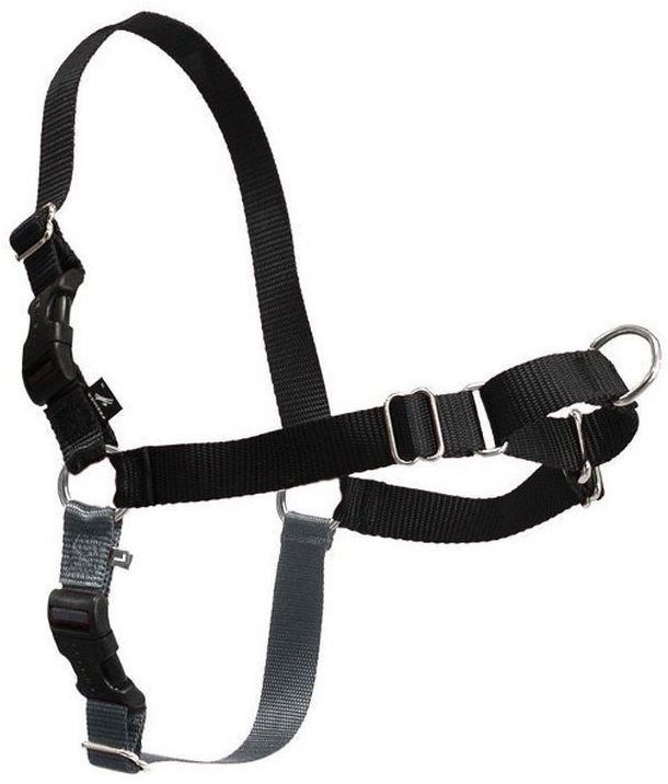 Postroj EasyWalk Harness, čierny L