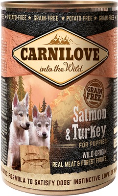 Carnilove Wild Meat Losos & Moriak pre šteňatá 6× 400 g