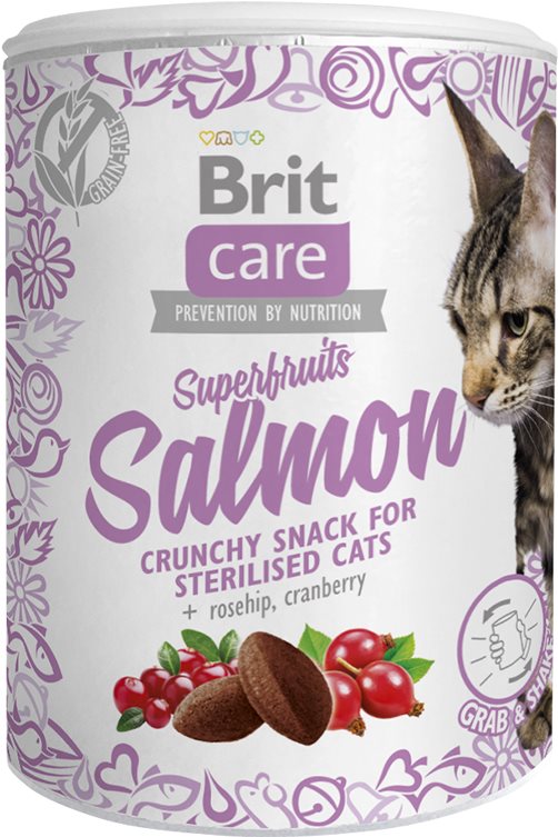 Brit Care Cat Snack Superfruits Salmon 100 g