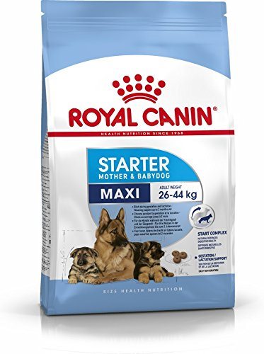 Royal Canin Maxi Starter Mother & Babydog 4 kg